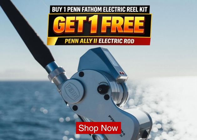 Silver-colored electric reel on rod above ocean, side plate with PENN, body marked FATHOM, promo text BUY 1 PENN FATHOM ELECTRIC REEL KIT white, GET 1 FREE yellow, PENN ALLY II ELECTRIC ROD white, Shop Now white