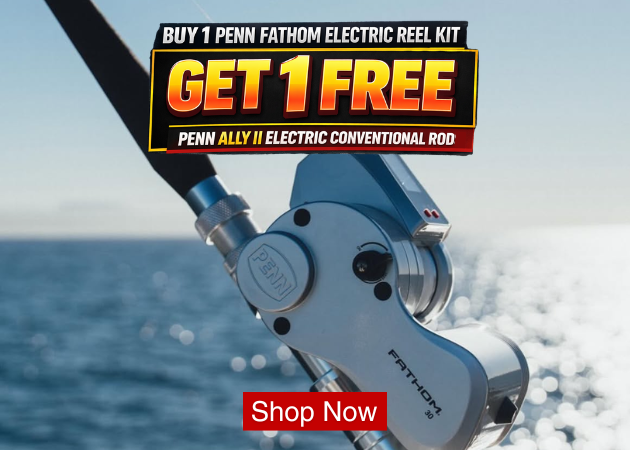 Silver-colored electric reel on rod above ocean, side plate with PENN, body marked FATHOM, promo text BUY 1 PENN FATHOM ELECTRIC REEL KIT white, GET 1 FREE yellow, PENN ALLY II ELECTRIC CONVENTIONAL ROD white, Shop Now white