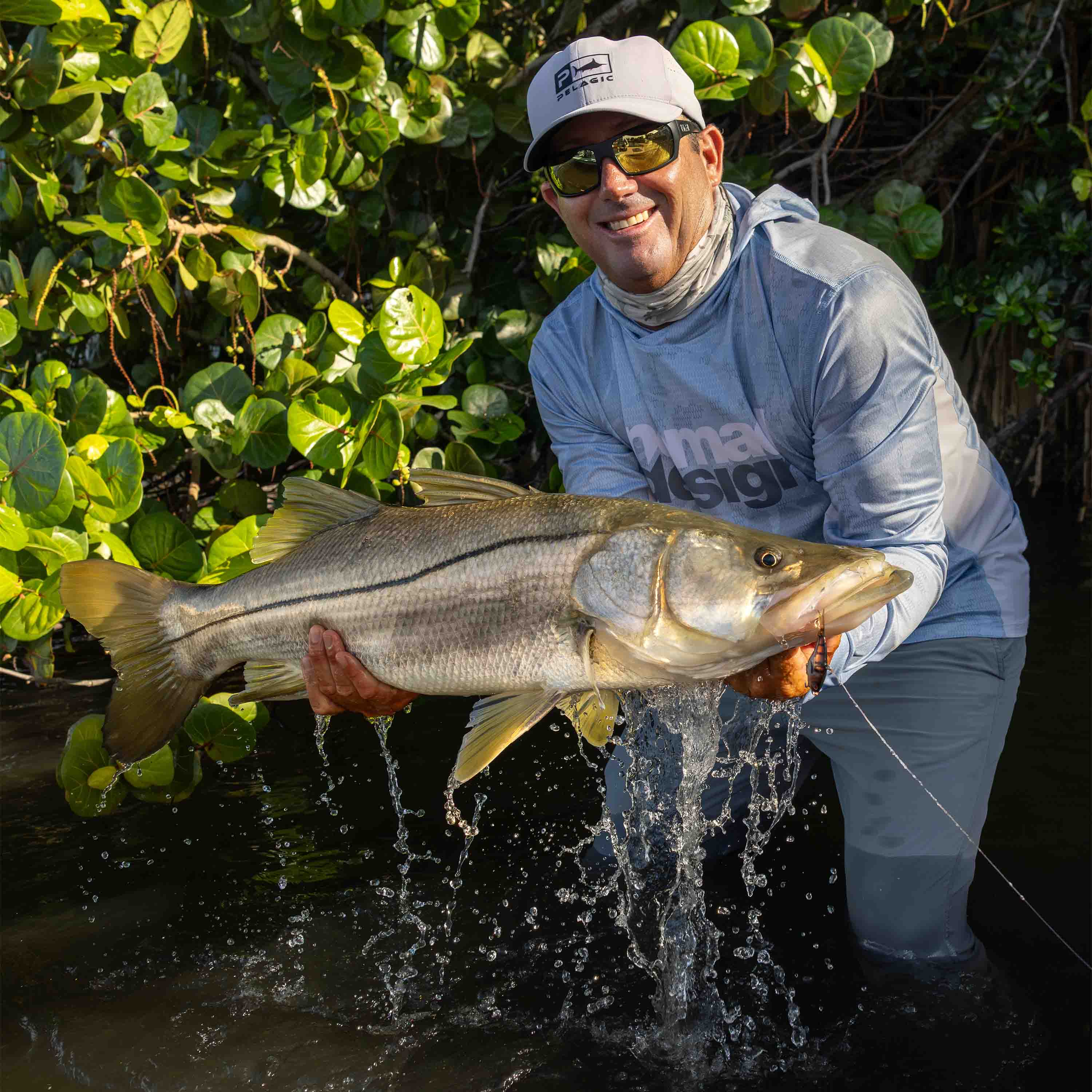 Jarad Dingo Boshammer holds a large snook in shallow water beside dense green foliage.