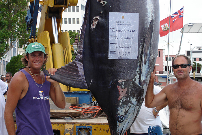 Jarad Dingo Boshammer stands beside another man holding a large blue marlin hanging at a dock.